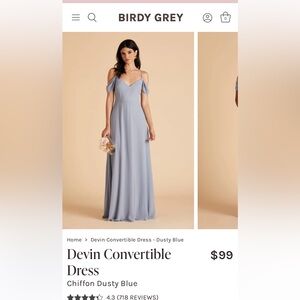 Birdy Grey “Devin Convertible” Bridesmaids Dress in Dusty Blue